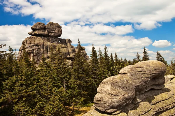 森の上の壮観な岩. — ストック写真
