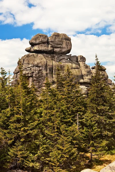 森の上の壮観な岩. — ストック写真