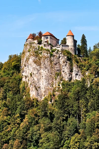 stock image Castle on the top of the rock.