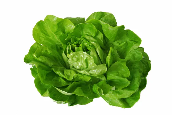 白上孤立的绿色生菜 — 图库照片
