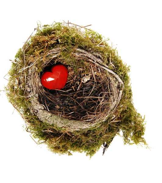 Coeur rouge dans le nid — Photo