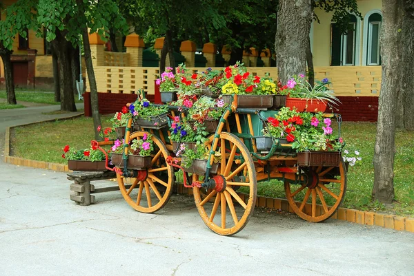 Dekorativa vagn med blomkrukor — Stockfoto