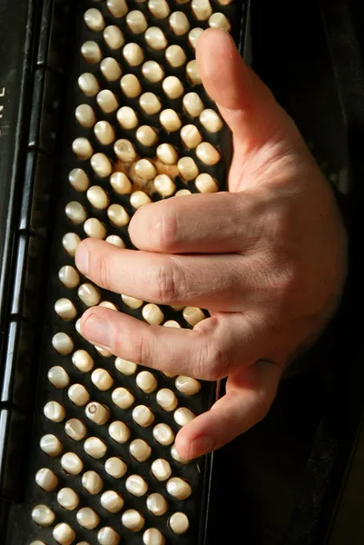 Zenész kézzel játszik harmonika — Stock Fotó