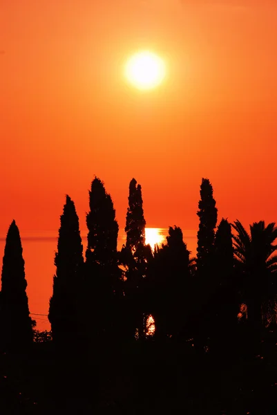 Помаранчевого заходу сонця — стокове фото