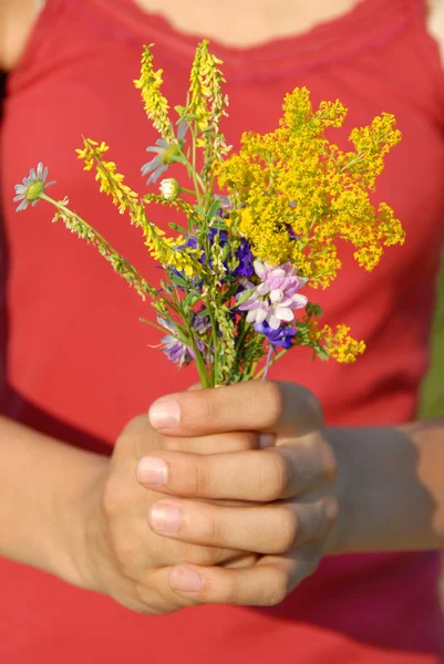 Літній букет квітів — стокове фото