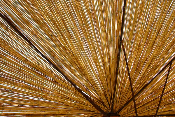 Texture de parapluie de paille — Photo