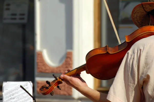 stock image Street musician