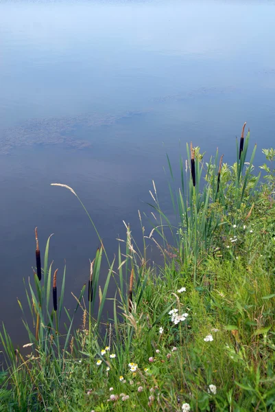 Озерный пейзаж — стоковое фото