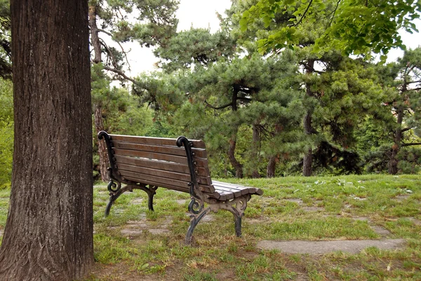 공원에 있는 나무 벤치 — 스톡 사진