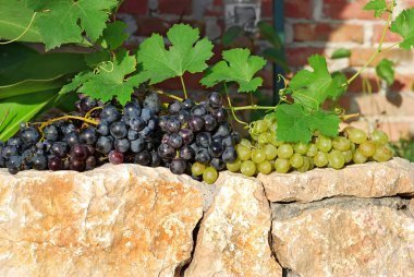 Grapes over stone fence clipart