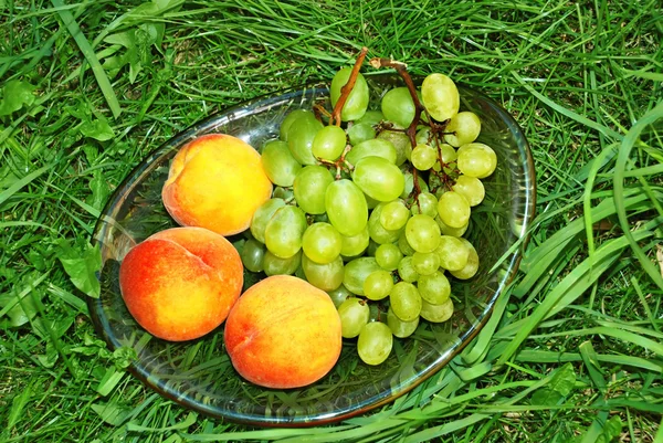 Perzik en groene druiven in gras — Stockfoto