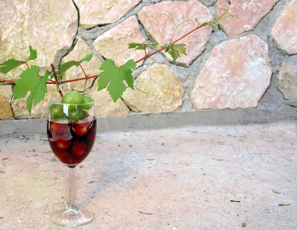 Vine shoot over wine glass — Stock Photo, Image