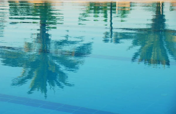 Palmen reflectie in zwembad — Stockfoto