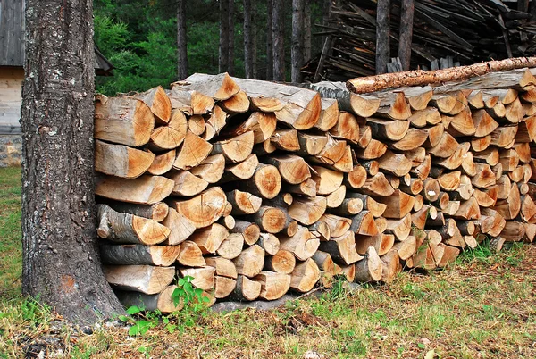 Штабеля деревини — стокове фото