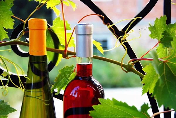 Wine bottles between vine leaves — Stock Photo, Image