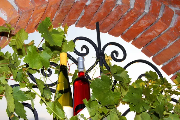 Wine bottles between leaves — Stock Photo, Image