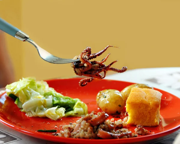 Calamari appetitosi sulla forchetta — Foto Stock