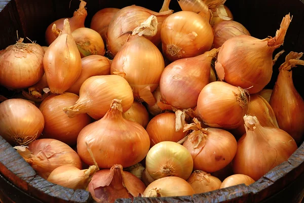 Gold Onions in wooden barrel