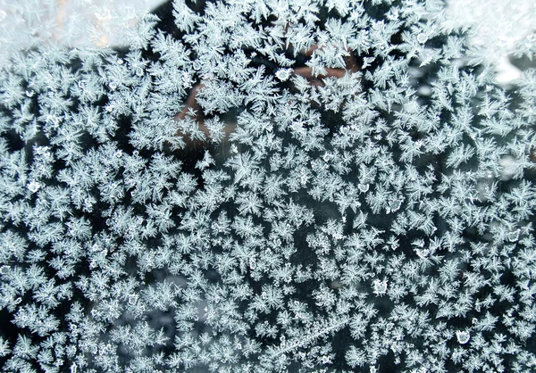 ガラスの上の霜 — ストック写真