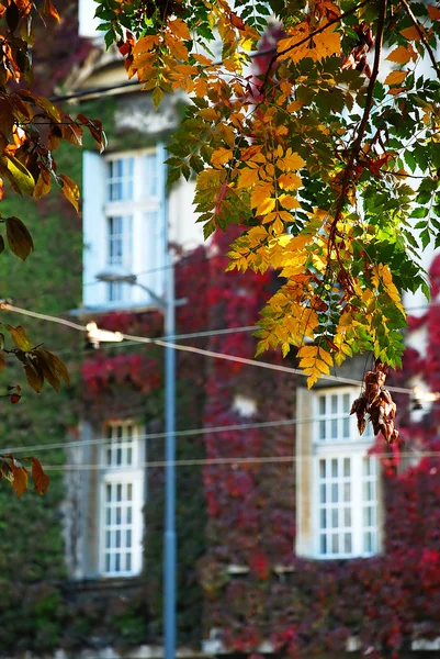 秋の都市ビュー — ストック写真