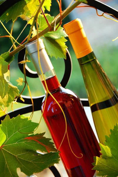 Wine bottles between vine leaves — Stock Photo, Image