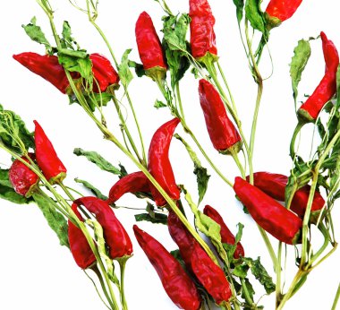 Dry red hot chilly peppers backgrounds clipart