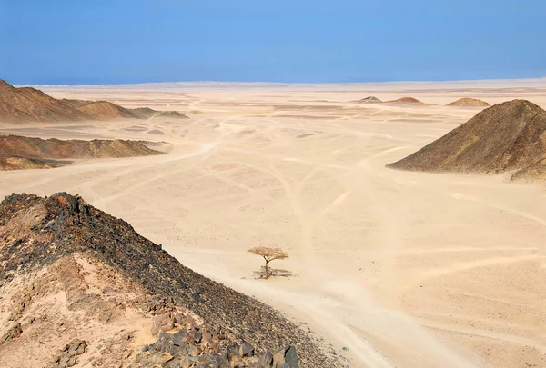Egipto desierto — Foto de Stock