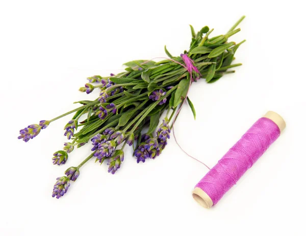 Lavender small bouquet — Stock Photo, Image
