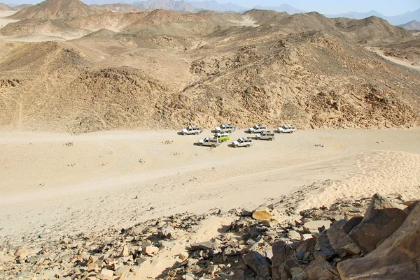 이집트 사막에서 사파리 — 스톡 사진