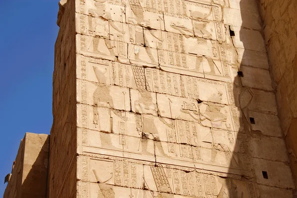 Εικονογραφημένο τείχη της Αιγύπτου ναός του Καρνάκ στο Λούξορ — Φωτογραφία Αρχείου