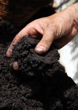 Black soil clipart