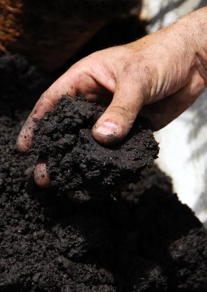 stock image Black soil