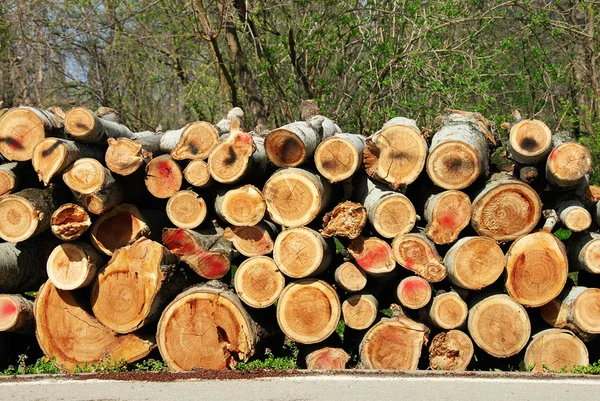 Firewood pile outdoor — Stock Photo, Image