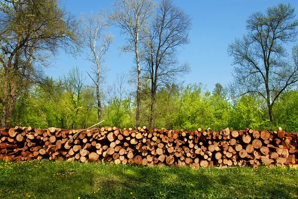 Brandhout stapel buiten — Stockfoto
