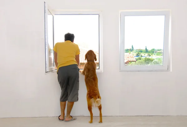 Mens en hond kijken via venster Stockafbeelding