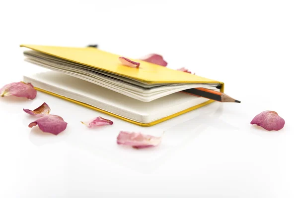 Cuaderno y rosas — Foto de Stock