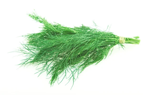 stock image Fresh green dill