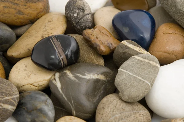 착 색된 한 돌 — 스톡 사진