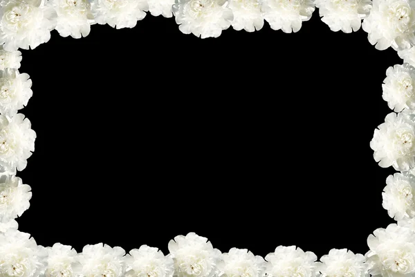 Peony flower frame — Stock Photo, Image