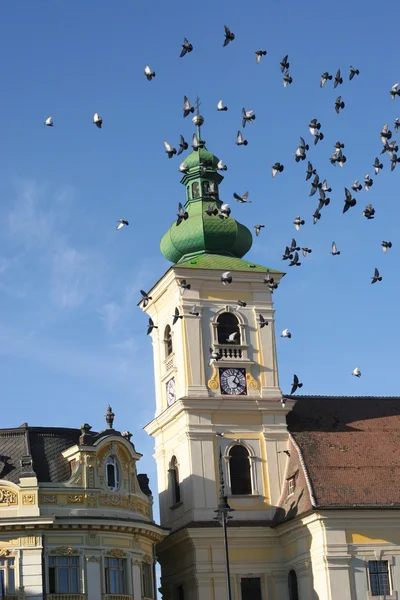 stock image Sibiu from transylvania