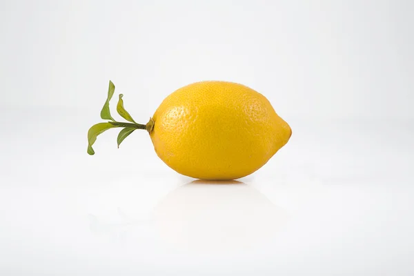 Yellow lemon and green leaves — Stock Photo, Image