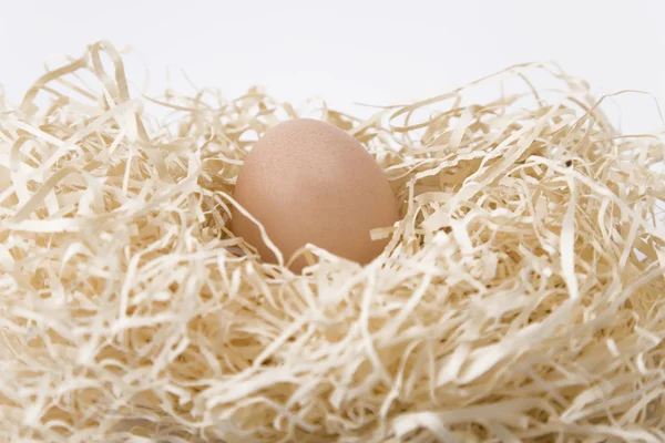 Αυγό φωλιάς — Φωτογραφία Αρχείου