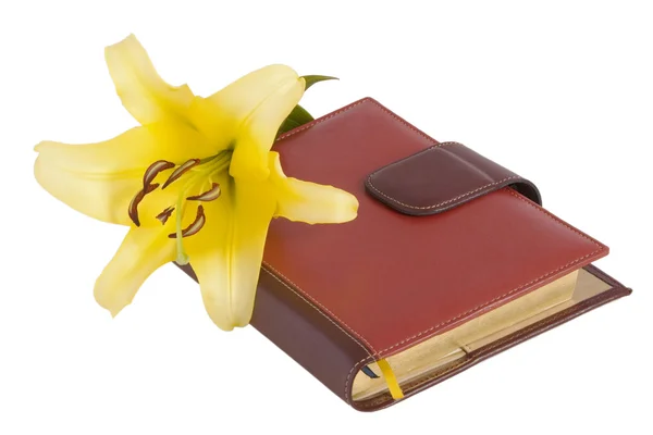 Flor amarelo lírio flor e caderno — Fotografia de Stock