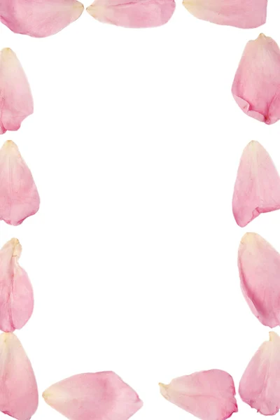 粉红玫瑰花瓣的框架 — 图库照片