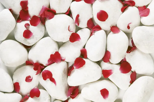 Rote Rosenblätter auf weißen Kieselsteinen — Stockfoto