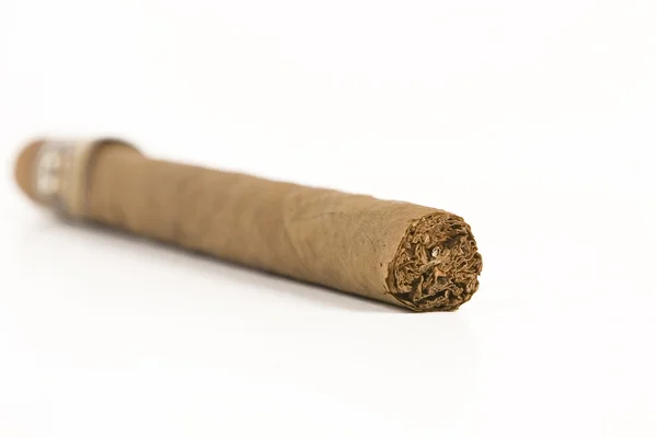 Bruin Havana sigaar — Stockfoto