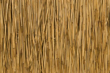 Texture of cane dry clipart