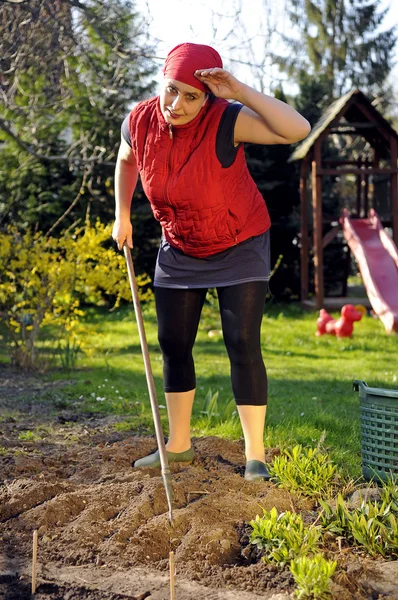 Женщина в саду — стоковое фото
