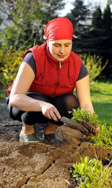 Woman in the garden — Stock Photo, Image