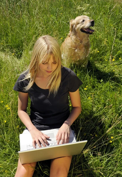 풀밭에서 노트북으로 용 여자 — 스톡 사진